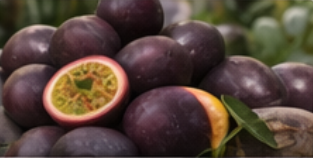 Fresh Passion Fruits Purple & Yellow Varieties