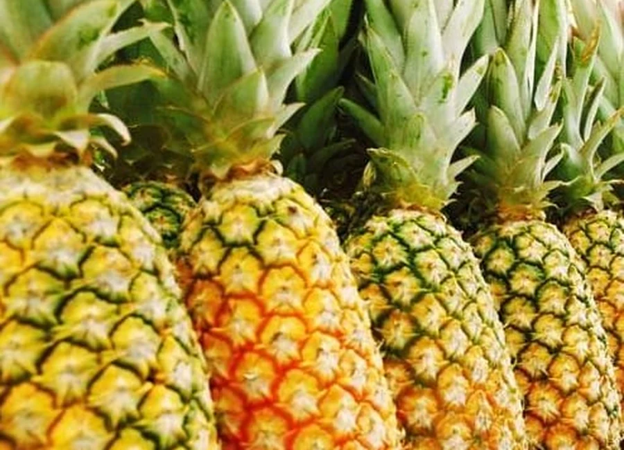 Fresh pineapples