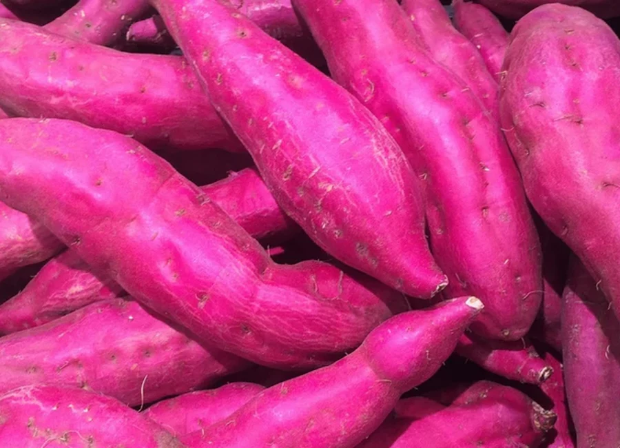 Fresh sweet potatoes